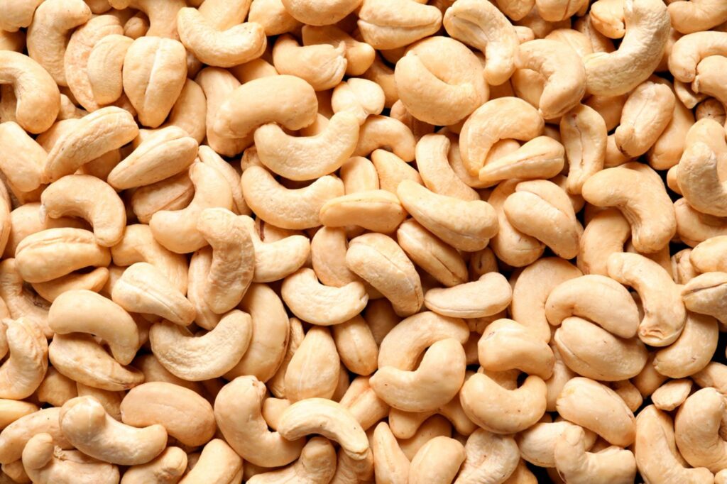 Bio Cashewnüsse