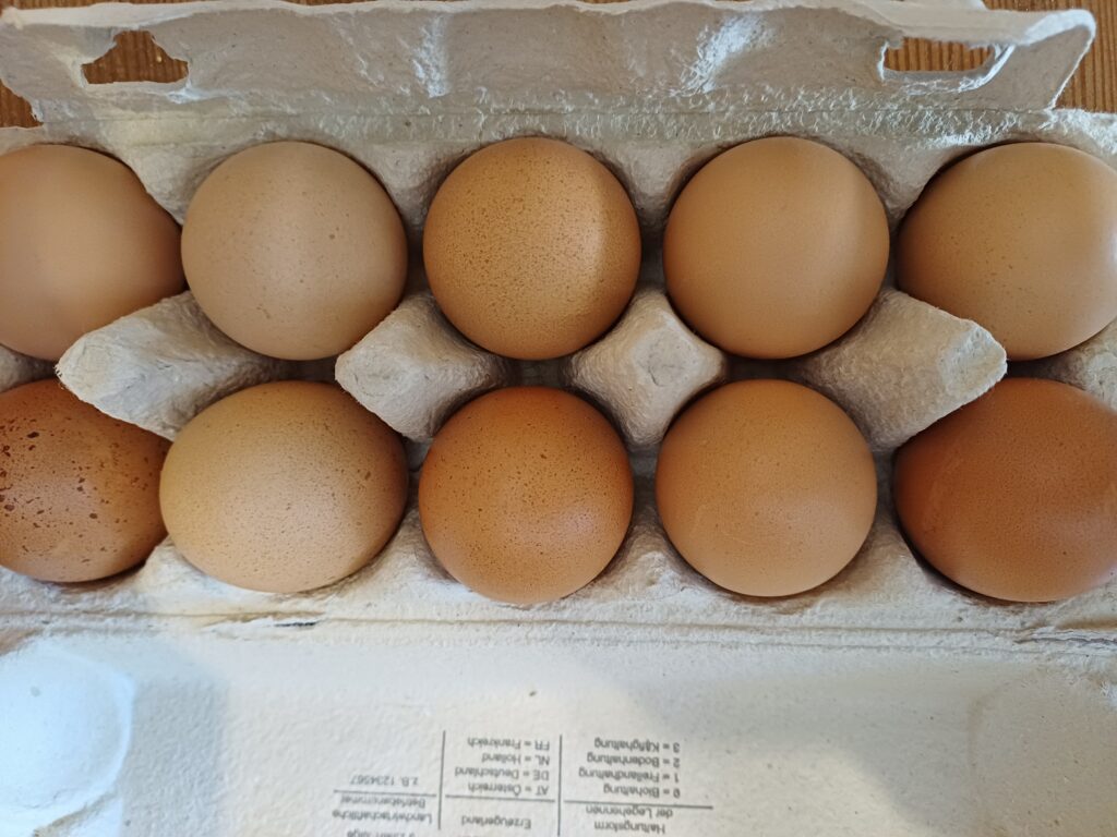 Bio Eier