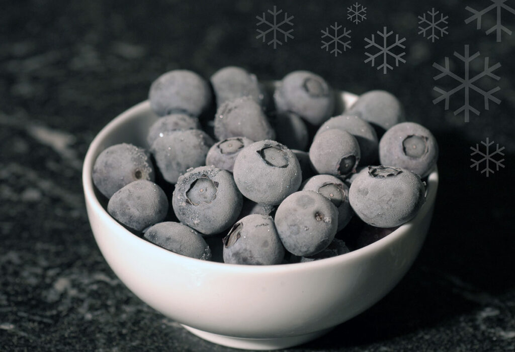 Bio Heidelbeeren